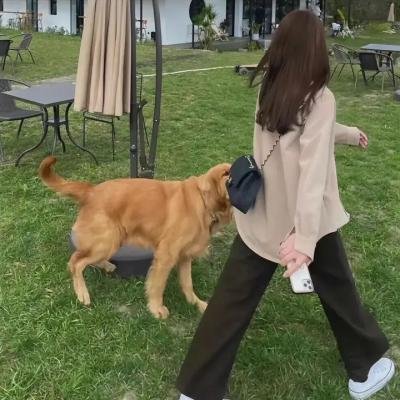 你是我的吸血鬼